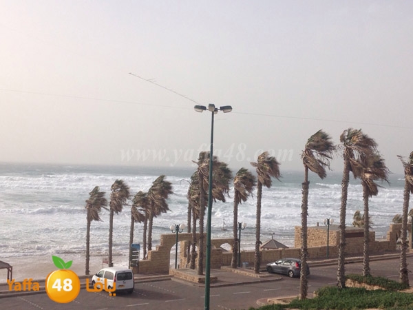 yaffa sea ba7r 3asefa (12).JPG